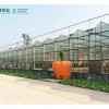 智能溫室大棚價(jià)格|高質(zhì)量的溫室大棚推薦