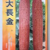 瞧！好產(chǎn)品近在眼前！老黃瓜品種-老黃瓜種子-大長金-壽光綠興種業(yè)