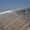 日光溫室建設|建造日光溫室就來大龍農(nóng)業(yè)