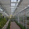 建造山東智能溫室建設(shè)就來(lái)嘉潤(rùn)農(nóng)業(yè)，智能溫室建造
