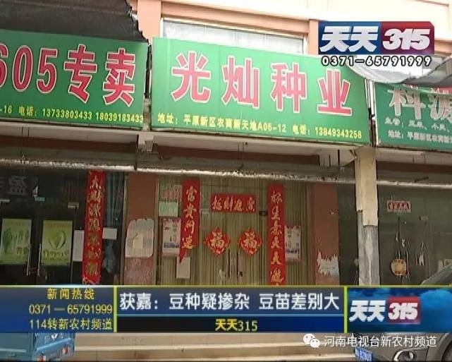 新鄉(xiāng)一老農(nóng)種黃豆遇鬧心事 豆苗高低參差開(kāi)花也不一樣