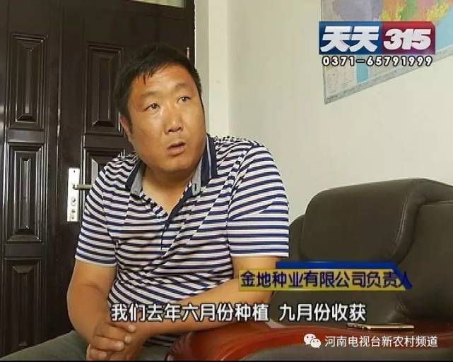 新鄉(xiāng)一老農(nóng)種黃豆遇鬧心事 豆苗高低參差開(kāi)花也不一樣