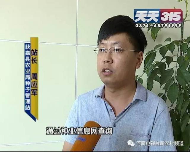 新鄉(xiāng)一老農(nóng)種黃豆遇鬧心事 豆苗高低參差開(kāi)花也不一樣