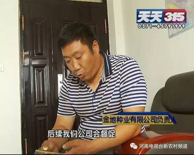 新鄉(xiāng)一老農(nóng)種黃豆遇鬧心事 豆苗高低參差開(kāi)花也不一樣