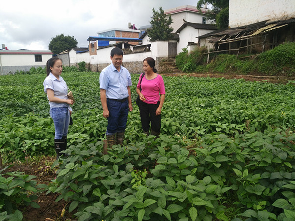 圖片其版權(quán)均歸原作者所有，未經(jīng)許可嚴(yán)禁轉(zhuǎn)載或建立鏡像，如需轉(zhuǎn)載，請(qǐng)與作者或本站聯(lián)系