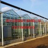 日光溫室大棚建造當(dāng)選佳通溫室，設(shè)計日光溫室