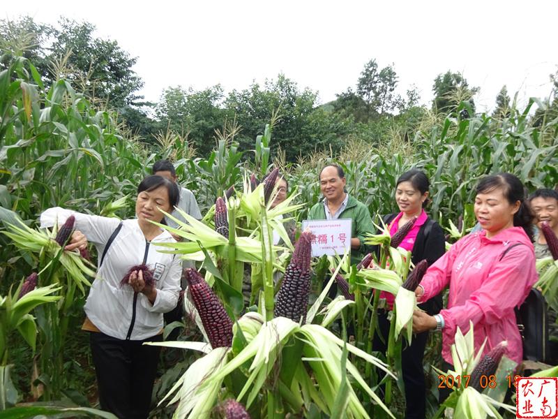 圖片其版權(quán)均歸原作者所有，未經(jīng)許可嚴禁轉(zhuǎn)載或建立鏡像，如需轉(zhuǎn)載，請與作者或本站聯(lián)系