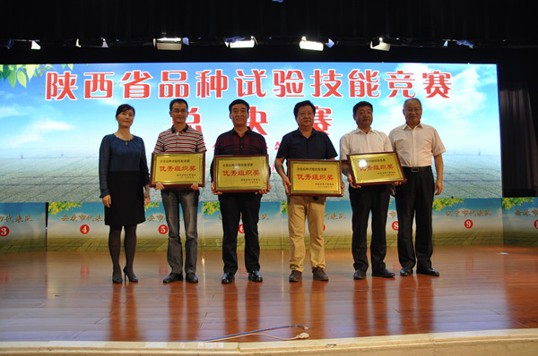 競(jìng)賽現(xiàn)場(chǎng)