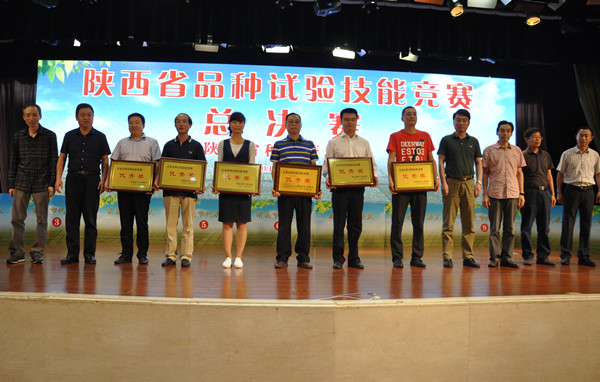 頒獎(jiǎng)現(xiàn)場(chǎng)