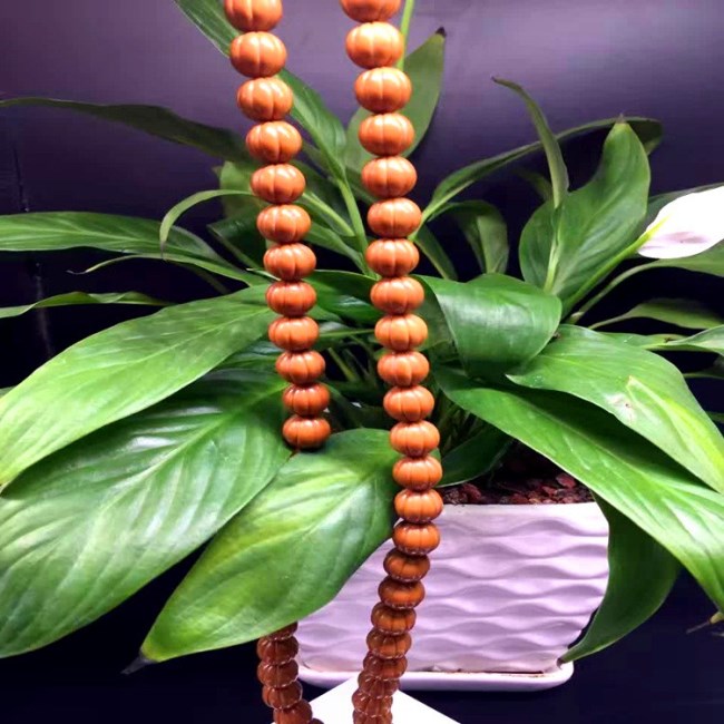 15-猴頭核桃瓜珠長串