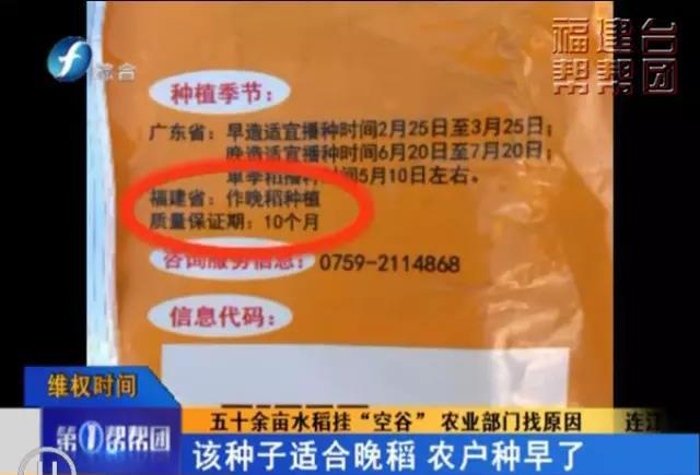 連江50余畝水稻掛&ldquo;空谷&rdquo; 村民懷疑種子有問題