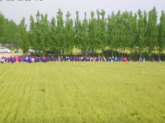 航拍-河南黃泛區(qū)地神種業(yè)有限公司小麥觀(guān)摩會(huì) (?)