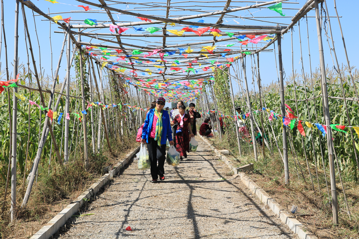 圖片15.4.png 圖片15.4.png