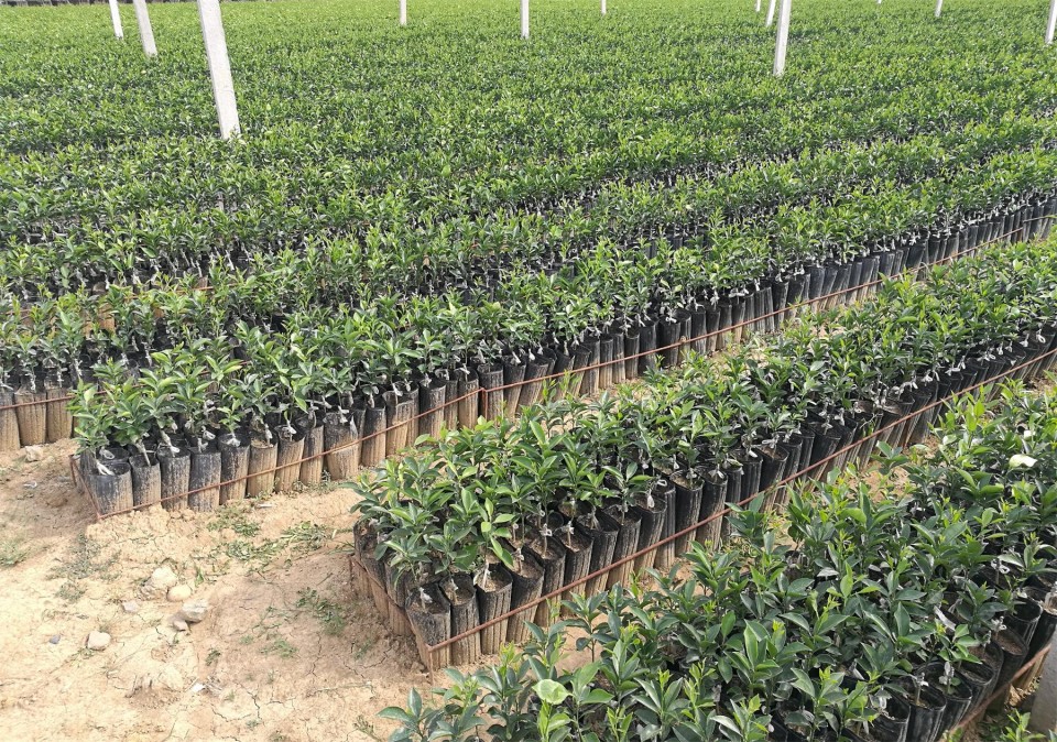 IMG_20170514_163222_看圖王