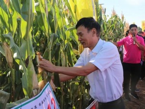 贏襄種業(yè)夢 豐收大中華——2018年順鑫大眾種業(yè)玉米新品種大型觀摩會(huì)