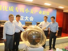 提升小麥質(zhì)量效益 做強(qiáng)優(yōu)質(zhì)小麥產(chǎn)業(yè) ——全國優(yōu)質(zhì)專用小麥聯(lián)盟聯(lián)盟啟動儀式在鄭州舉行 (18?)