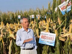 耀世新品，盡展芳華——2018豫玉種業(yè)黃淮海區(qū)域玉米新品種觀摩品鑒會(huì)在鶴壁召開 (10?)