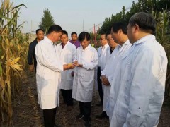 畝產(chǎn)841.48公斤！豐收節(jié)里話豐收，鄭原玉432顯身手 (6?)