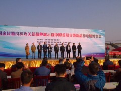 小紅薯，大產(chǎn)業(yè)！共聚古都洛陽(yáng)城，共鑒甘薯新品種，共謀產(chǎn)業(yè)大發(fā)展 (20?)