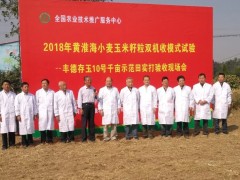 1821.6斤/畝！國審“豐德存玉10號(hào)”千畝方創(chuàng)造黃淮海玉米籽粒收高產(chǎn)記錄！ (10?)