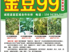 金豆99 (0?)