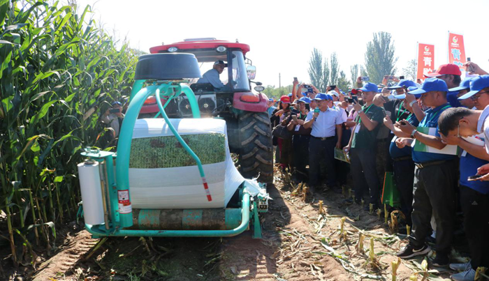 圖片7.png 圖片7.png