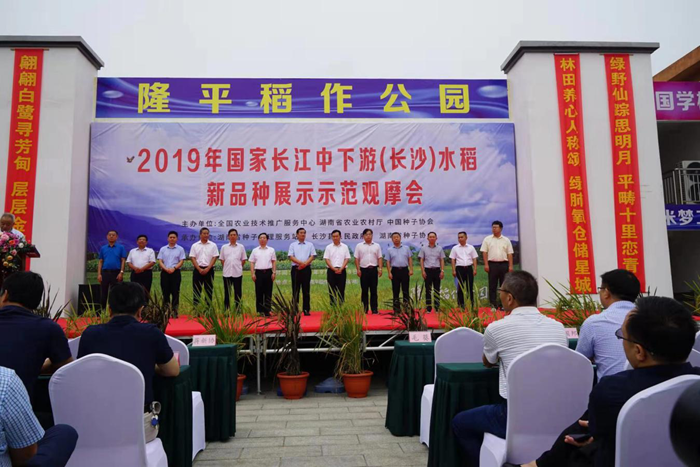 圖片22.png 圖片22.png