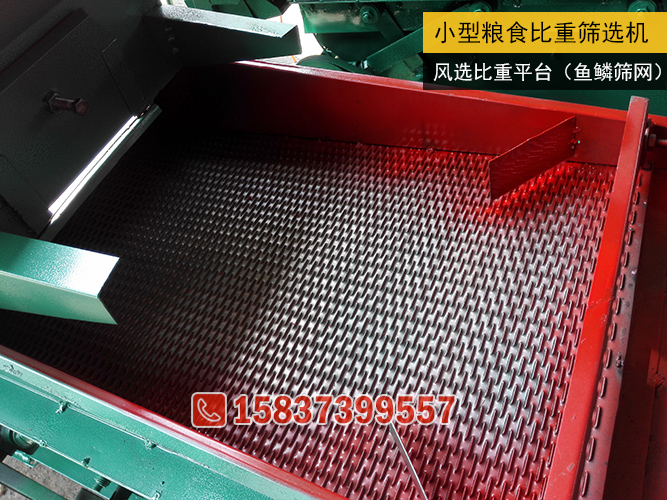 比重篩選機魚鱗篩網