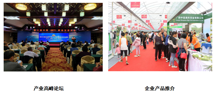 圖片2.png 圖片2.png