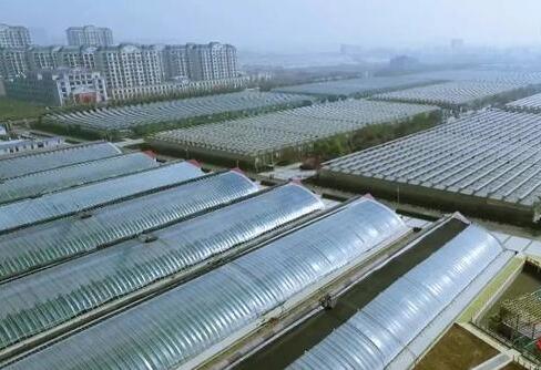 第十二屆中國國際種業(yè)博覽會與第十七屆全國種子信息交流暨產(chǎn)品交易會在濟南成功舉辦