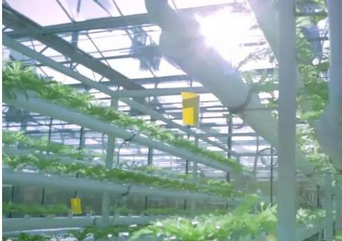 第十二屆中國國際種業(yè)博覽會與第十七屆全國種子信息交流暨產(chǎn)品交易會在濟南成功舉辦