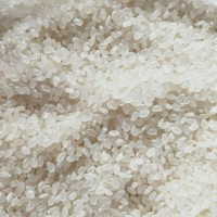 收購大量大米、碎米、糯米