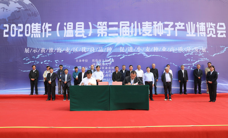 OK【河南供稿 已刪減】第三屆小麥種子產(chǎn)業(yè)博覽會在焦作溫縣召開 助力農(nóng)業(yè)高質(zhì)量發(fā)展