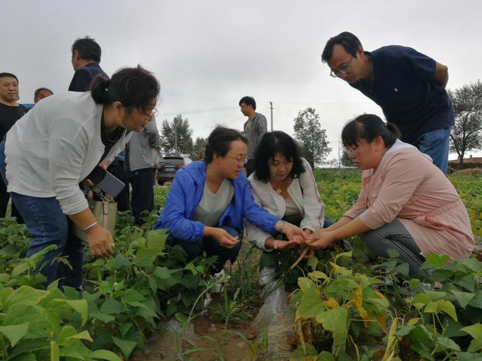 image003.jpg image003.jpg