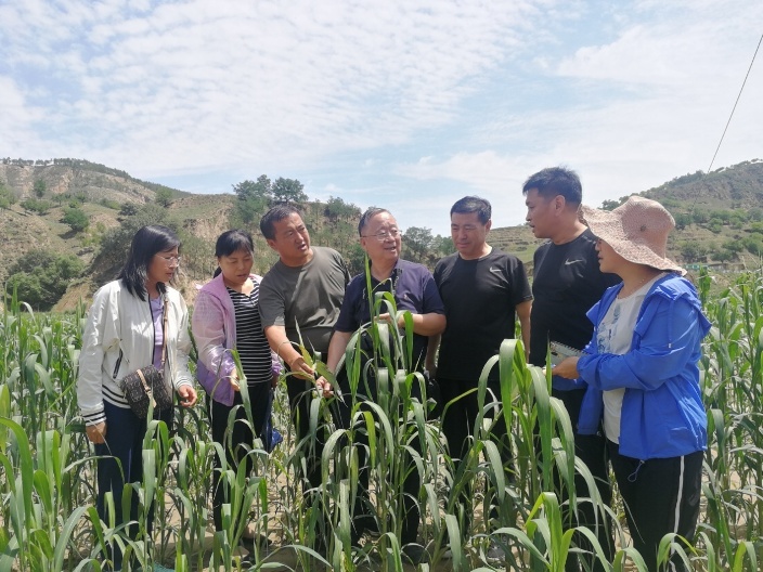 image007.jpg image007.jpg