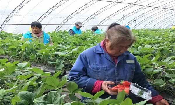 微信圖片_20201209141715