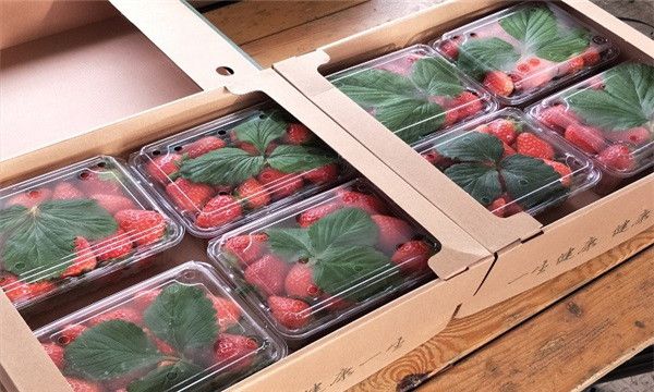 微信圖片_20201209141718