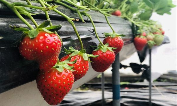 微信圖片_20201209141712