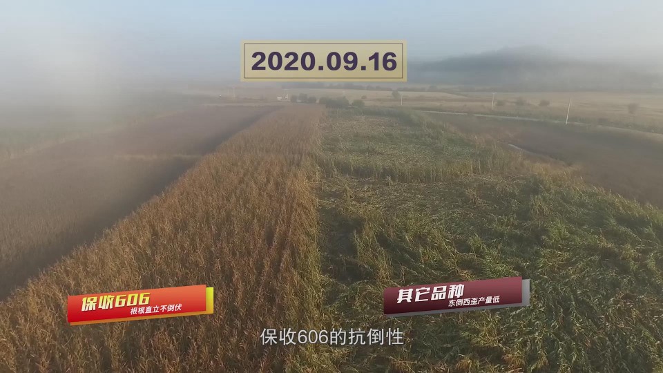 暴風(fēng)截圖20201118479952