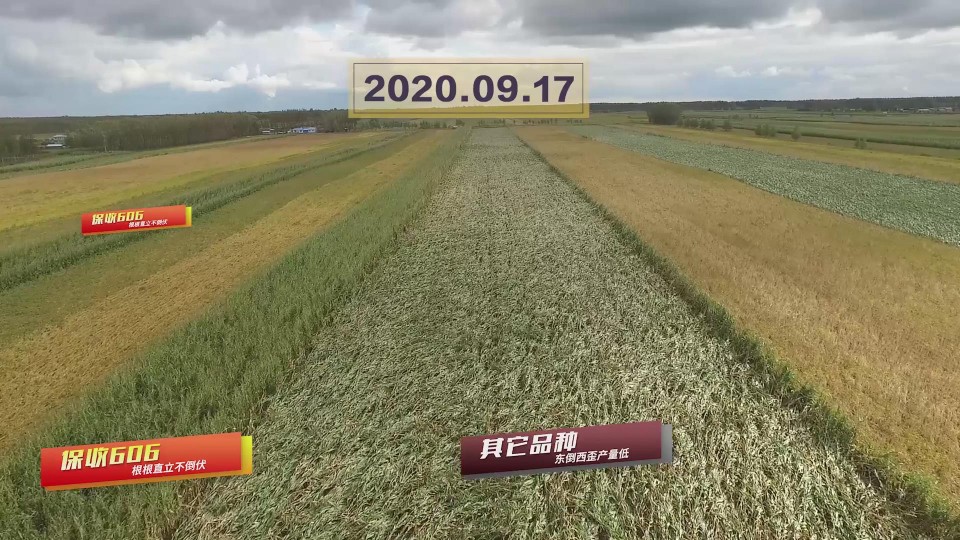 暴風(fēng)截圖20201118498766