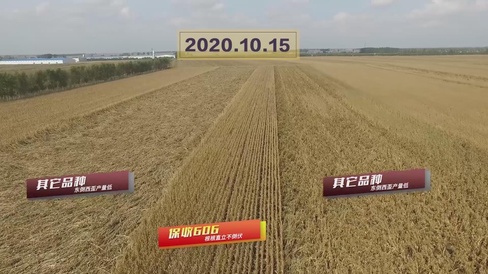 暴風(fēng)截圖20201118508781