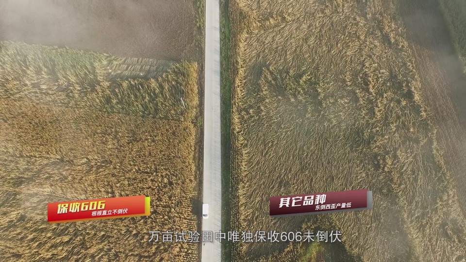 暴風(fēng)截圖202011182577838