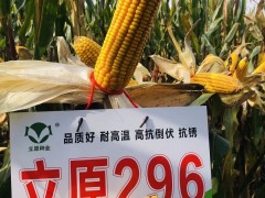 立原296田間表現(xiàn) (1923播放)