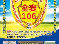 金麥106小麥新品種，誠招適宜區(qū)域代理商