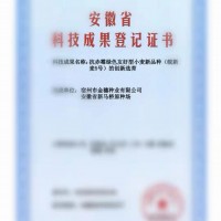 皖新麥5號小麥新品種，誠招適宜區(qū)域代理商