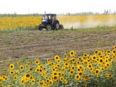 中國大豆“被擊垮”了嗎？