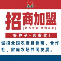 高產(chǎn)玉米種子誠(chéng)招全國(guó)經(jīng)銷商、合作社、家庭農(nóng)場(chǎng)共同發(fā)展