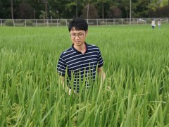 王克劍：固定雜種優(yōu)勢(shì)，降低制種成本！