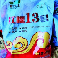 最高產(chǎn)糯高粱種子紅糯13號高粱種子