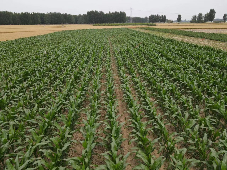 微信圖片_20230711083543